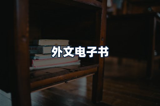 外文电子书